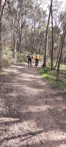 Along the trail