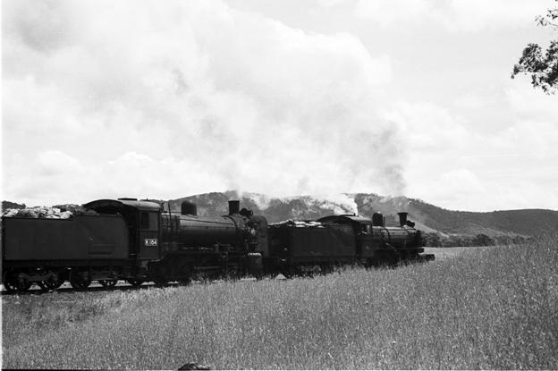 high camp train